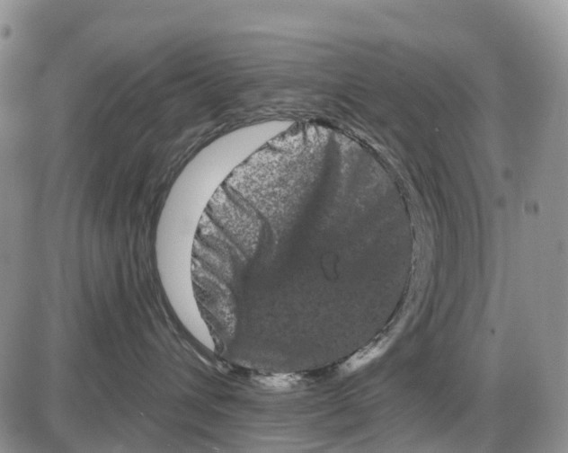 X0000085040432200703191238