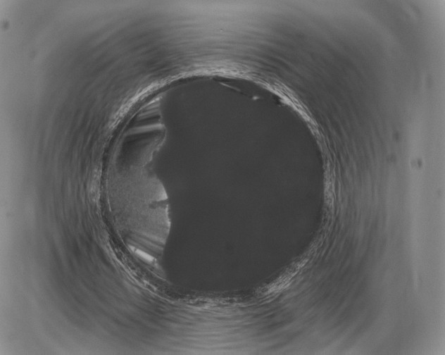 X0000085040434200703191237