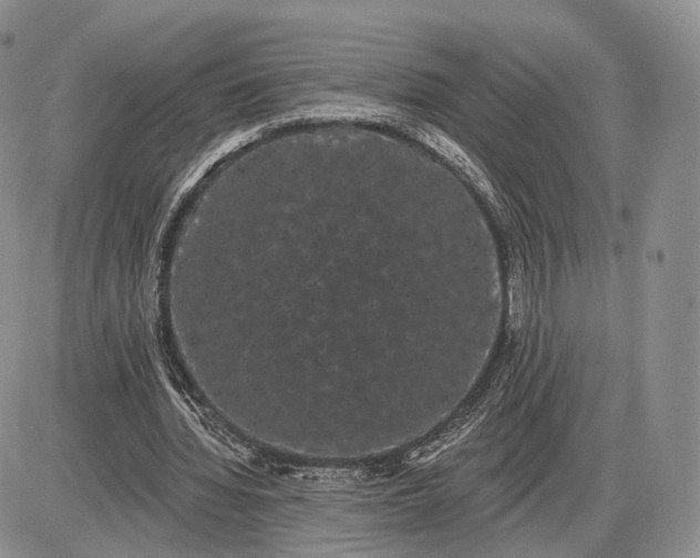 X0000085040436200703191237