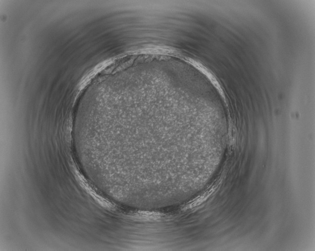 X0000085040437200703191237