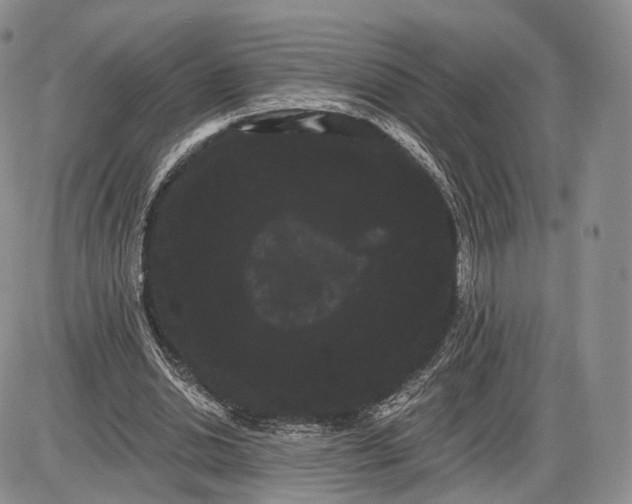 X0000085040438200703191237