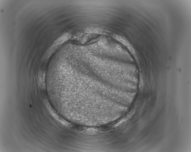 X0000085040441200703191237