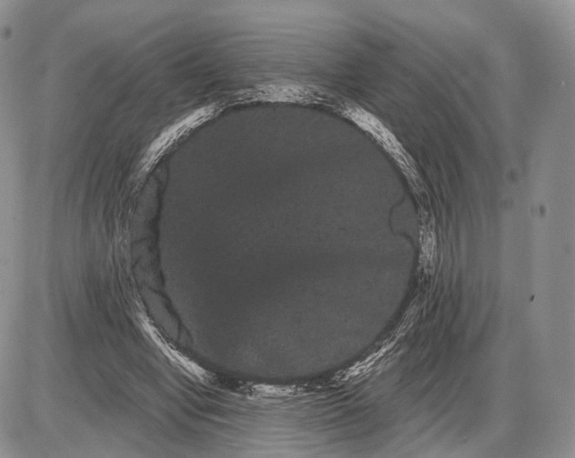 X0000085040442200703191237