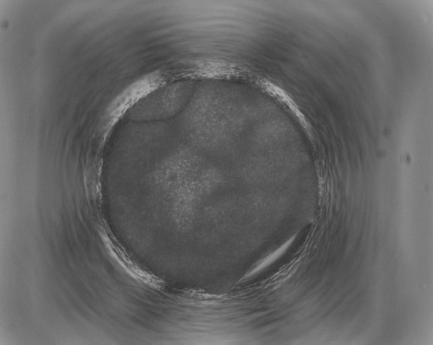 X0000085040443200703191237