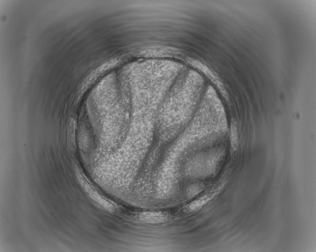 X0000085040445200703191237