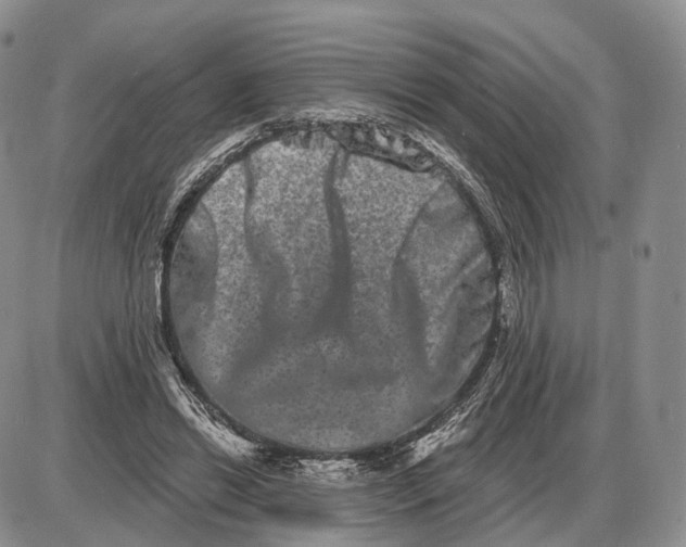 X0000085040446200703191237