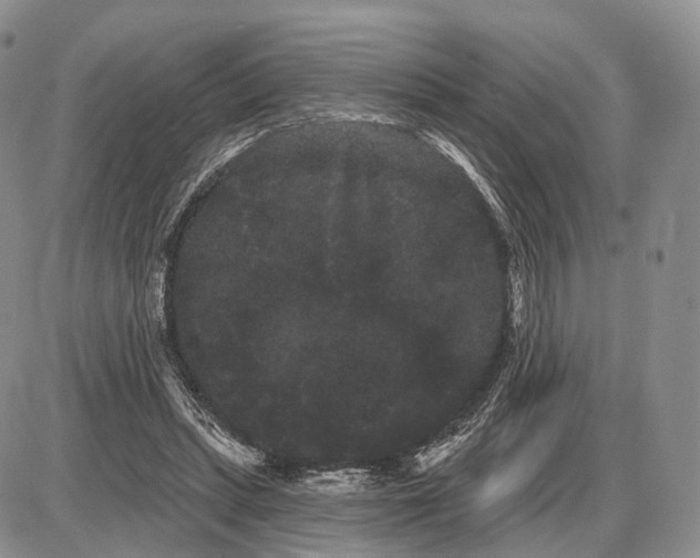 X0000085040447200703191237