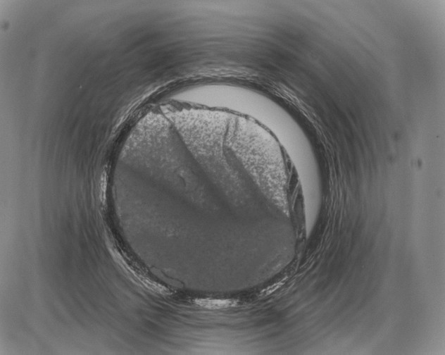 X0000085040448200703191237