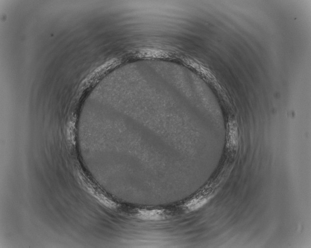 X0000085040450200703191237