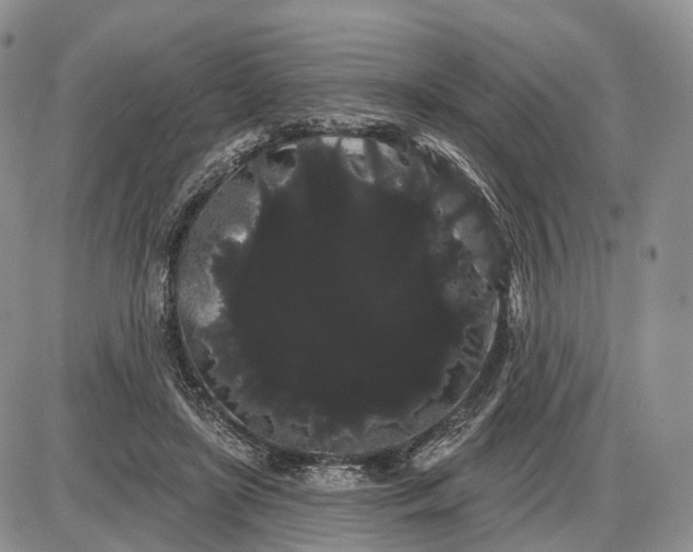 X0000085040451200703191237