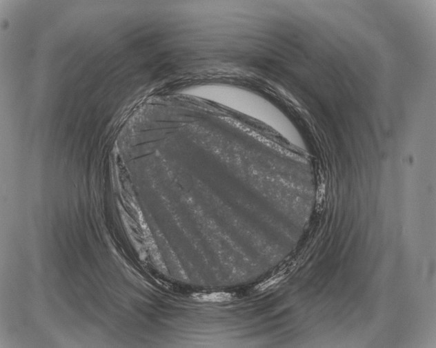 X0000085040452200703191237