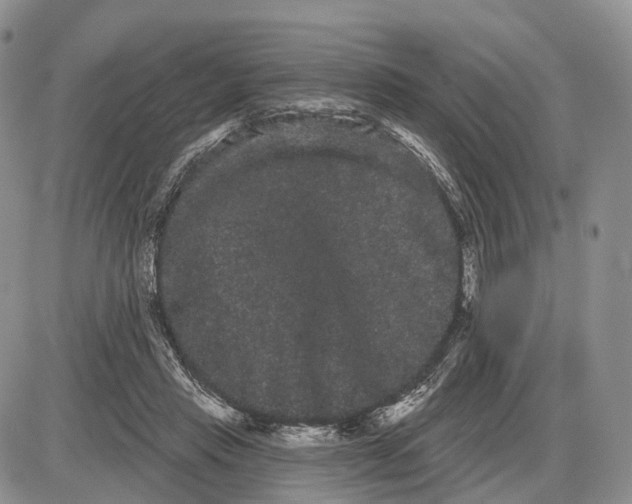 X0000085040453200703191237