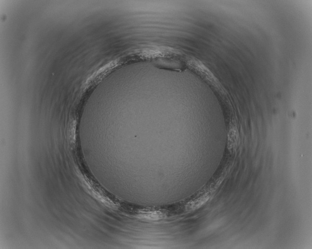 X0000085040454200703191237