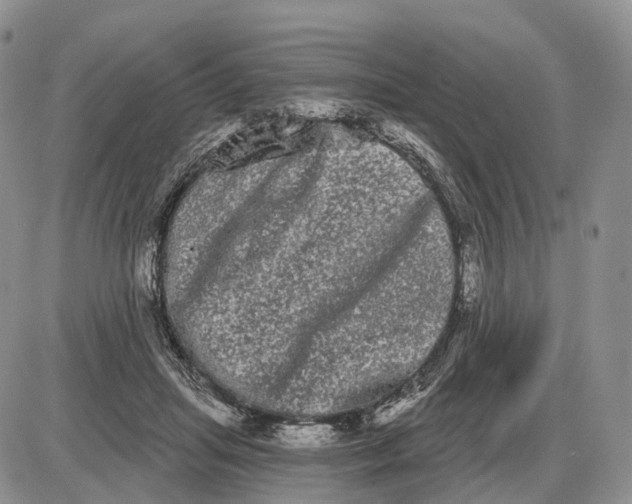 X0000085040455200703191237