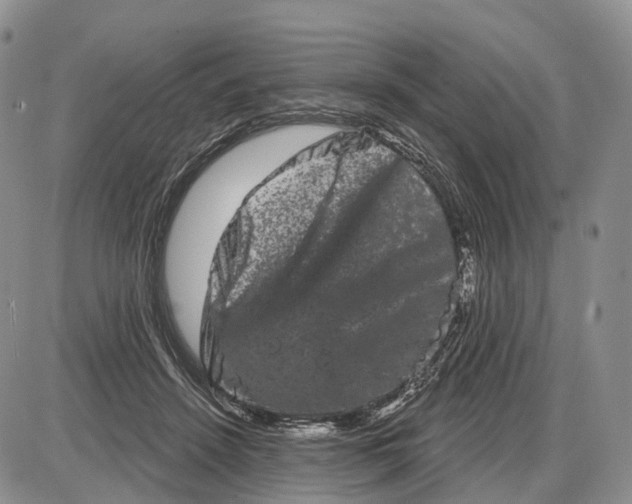 X0000085040456200703191237