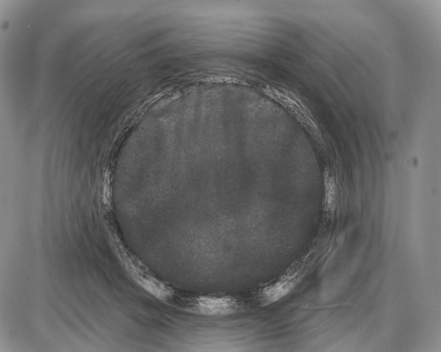 X0000085040457200703191237