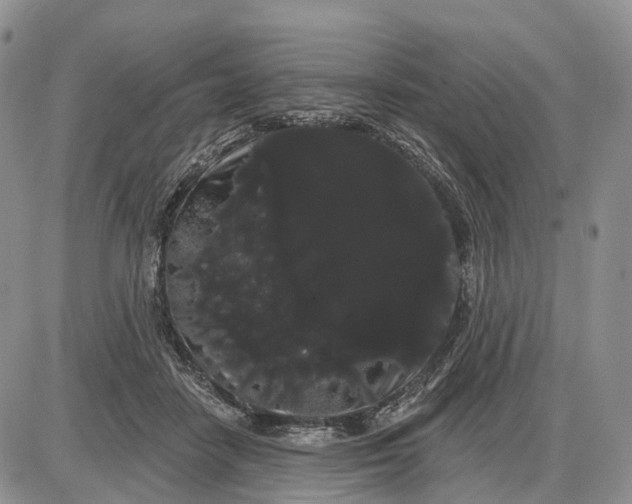 X0000085040458200703191237