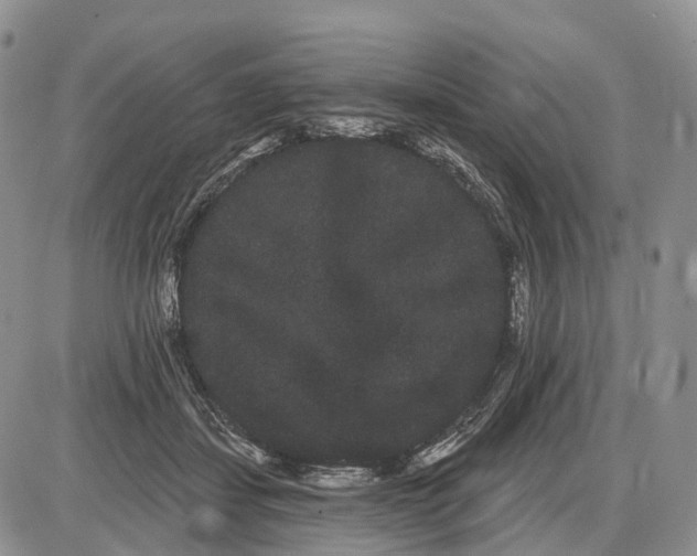 X0000085040459200703191237