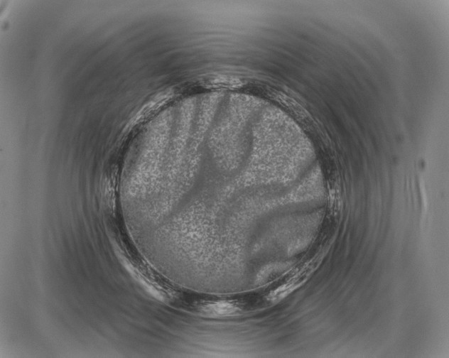 X0000085040460200703191237