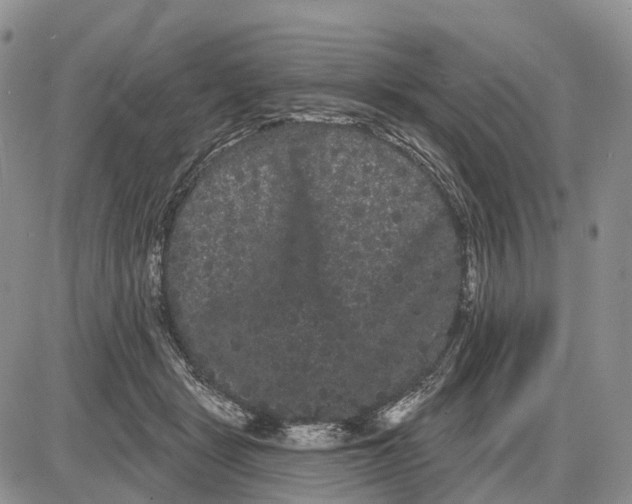 X0000085040461200703191237