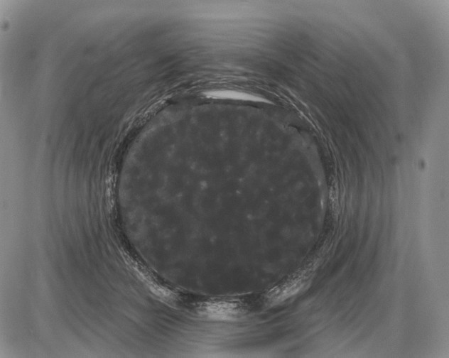 X0000085040462200703191237