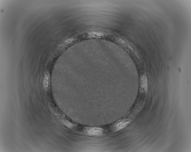 X0000085040463200703191237