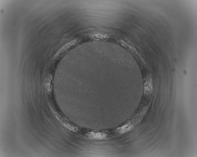 X0000085040464200703191237