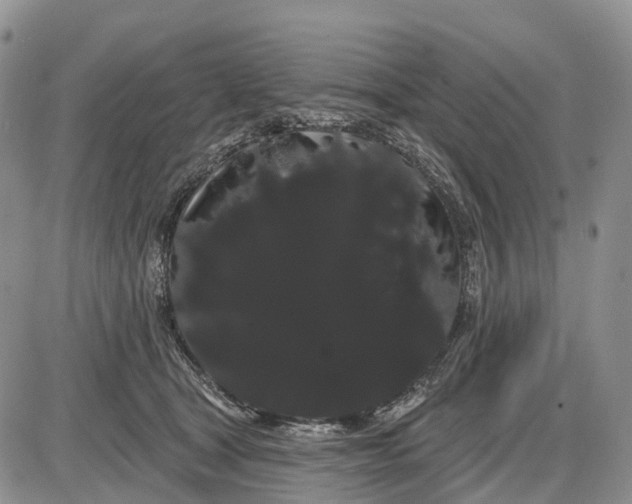 X0000085040465200703191237