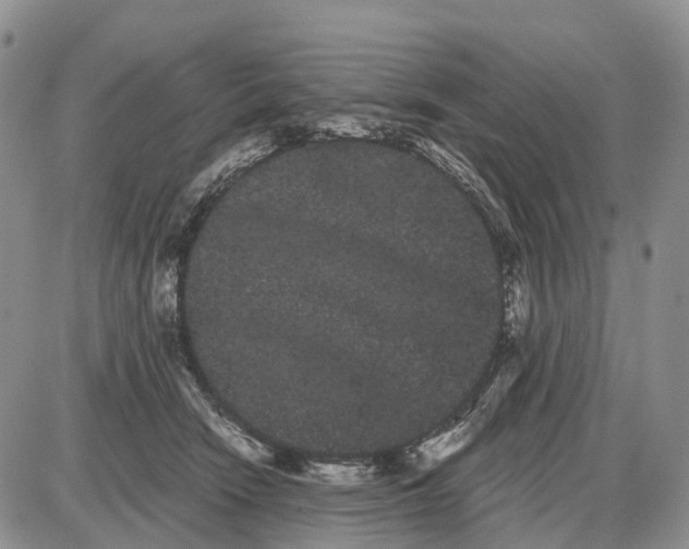 X0000085040466200703191237