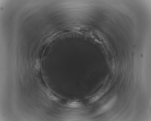 X0000085040467200703191237