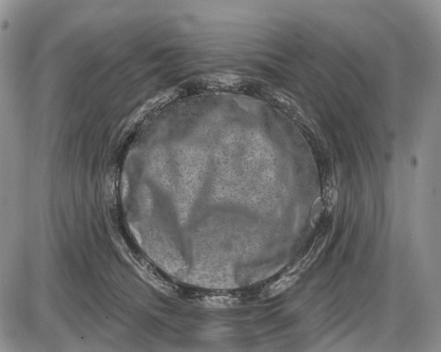 X0000085040468200703191237