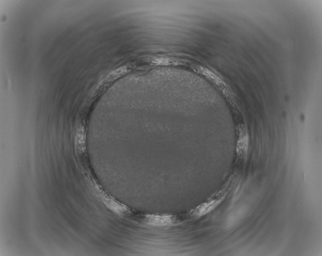 X0000085040469200703191237