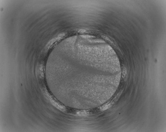 X0000085040470200703191237