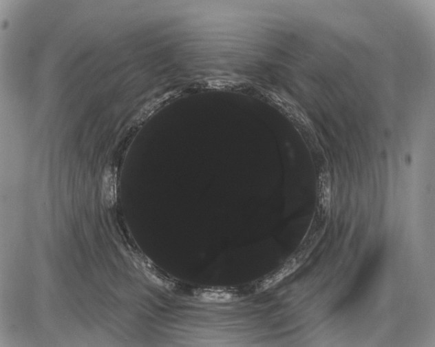 X0000085040471200703191238