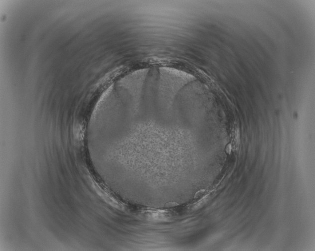 X0000085040472200703191238