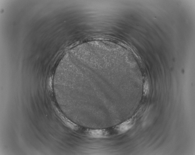 X0000085040473200703191238