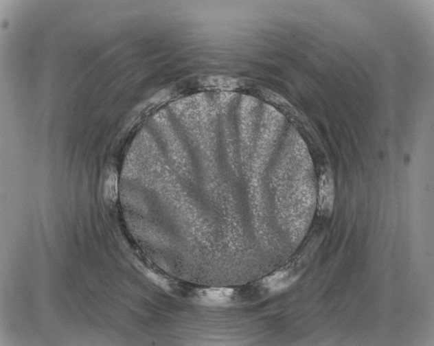 X0000085040474200703191238