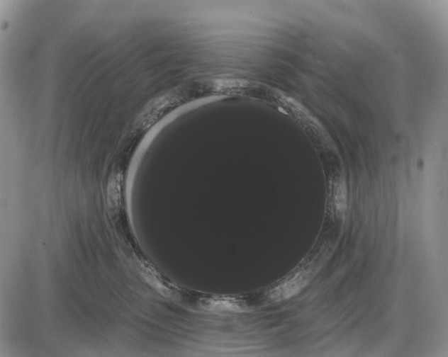 X0000085040475200703191238