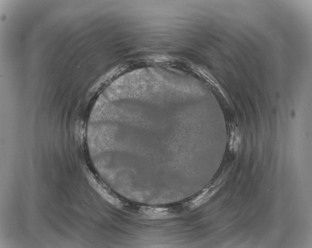 X0000085040476200703191238