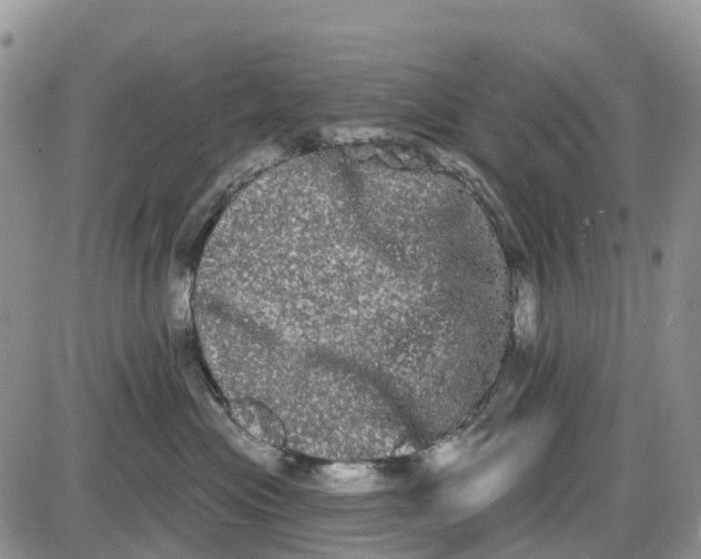 X0000085040477200703191238