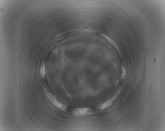 X0000085040479200703191238