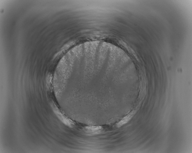 X0000085040480200703191238