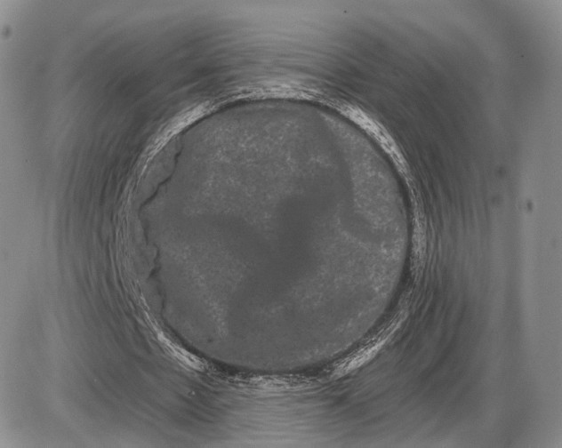 X0000085040481200703191237