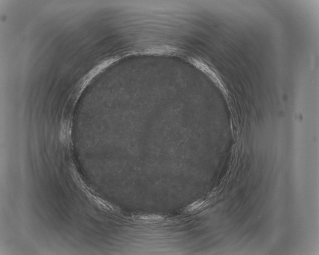 X0000085040483200703191237