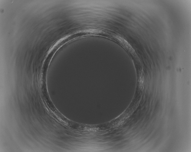 X0000085040484200703191237