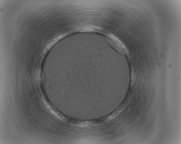 X0000085040485200703191237