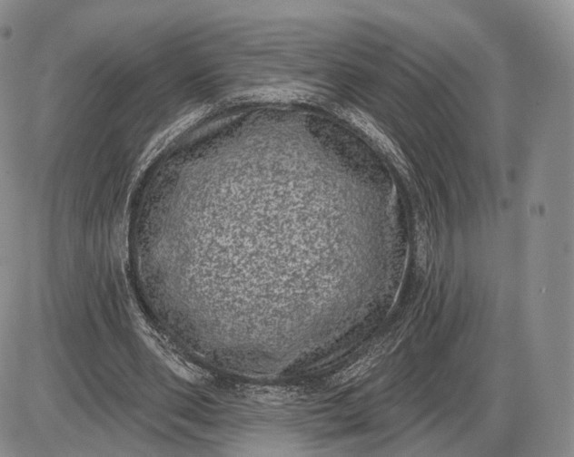 X0000085040486200703191237