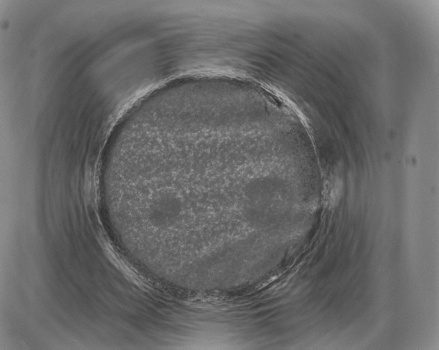 X0000085040487200703191237