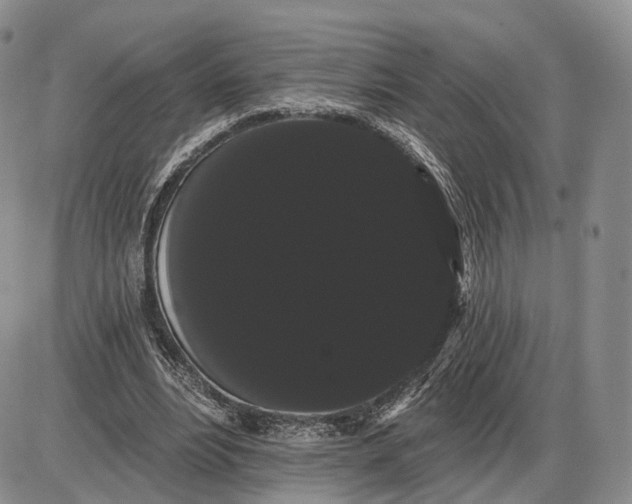 X0000085040488200703191237