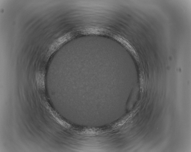 X0000085040489200703191237